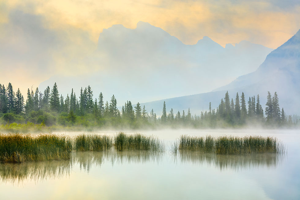 Located in Red Deer, Alberta, our First Wellness Mission and Values are focussed on indigenous youth, helping them overcome their addiction or other mental health issues.